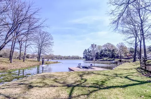 Other - 2160 Taryn Ln, Nesbit, MS 38651 photo 8 of 19
