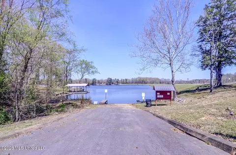 View/Area - 2160 Taryn Ln, Nesbit, MS 38651 photo 5 of 10
