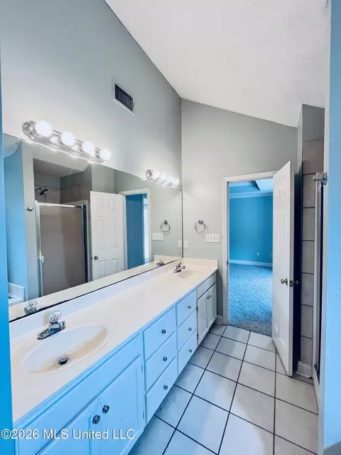 Bath - 3018 Windwood Cir, Flowood, MS 39232 photo 3 of 4