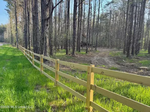 tbd County Road 493, Paris, MS 38949