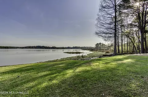 View/Area - 12 Eagles Pt, Brandon, MS 39047 photo 7 of 8