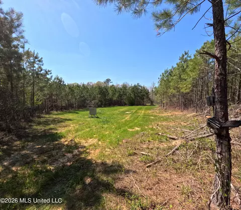 17565 Ms-27, Utica, MS 39175 photo 38
