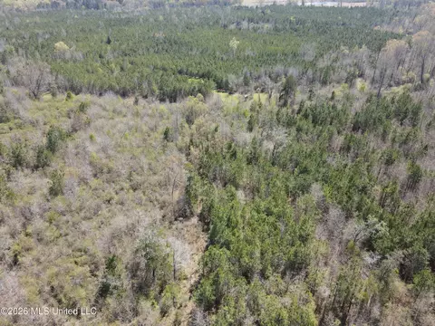 17565 Ms-27, Utica, MS 39175 photo 14