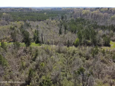 17565 Ms-27, Utica, MS 39175 photo 7