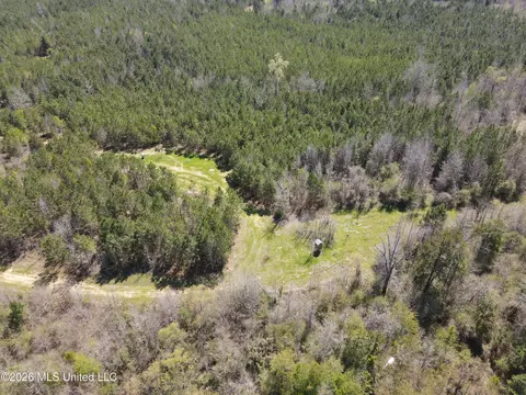 17565 Ms-27, Utica, MS 39175 photo 15