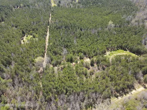 17565 Ms-27, Utica, MS 39175 photo 25