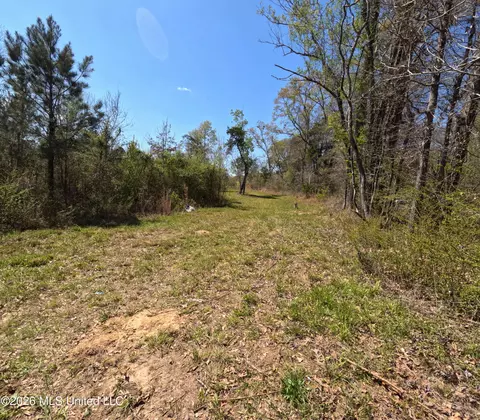 17565 Ms-27, Utica, MS 39175 photo 27