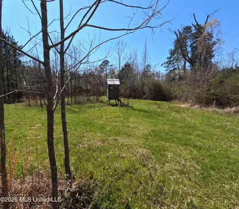 17565 Ms-27, Utica, MS 39175 photo 34