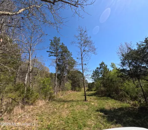 17565 Ms-27, Utica, MS 39175 photo 29
