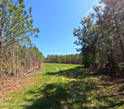 17565 Ms-27, Utica, MS 39175 photo 36