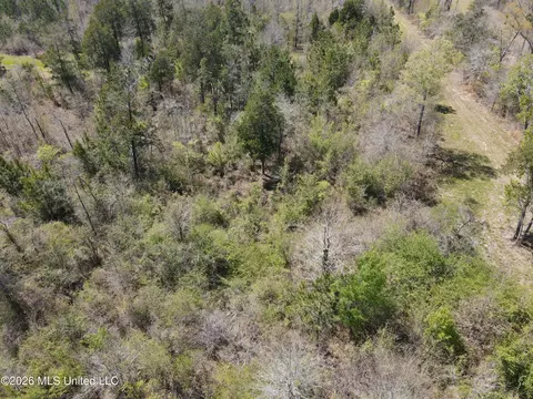 17565 Ms-27, Utica, MS 39175 photo 2