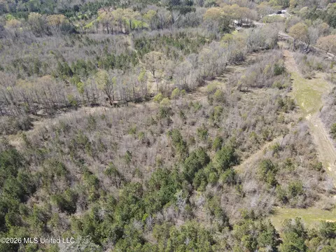 17565 Ms-27, Utica, MS 39175 photo 20