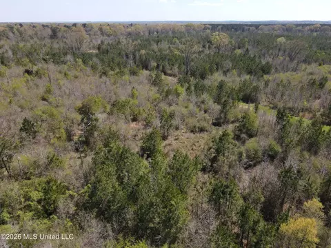 17565 Ms-27, Utica, MS 39175 photo 5