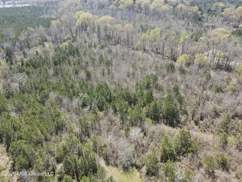 17565 Ms-27, Utica, MS 39175 photo 13