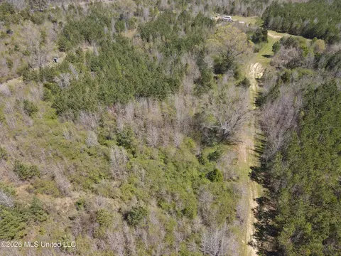 17565 Ms-27, Utica, MS 39175 photo 17