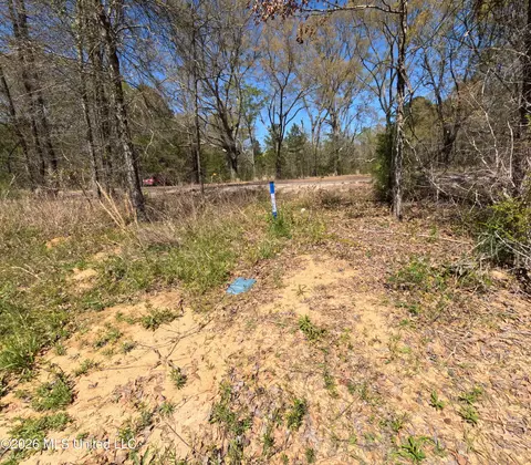 17565 Ms-27, Utica, MS 39175 photo 28