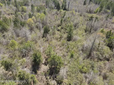 17565 Ms-27, Utica, MS 39175
