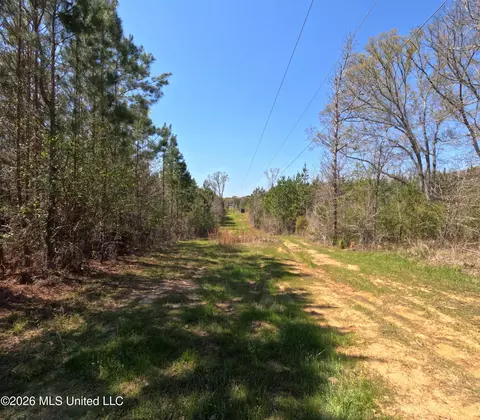 17565 Ms-27, Utica, MS 39175 photo 30