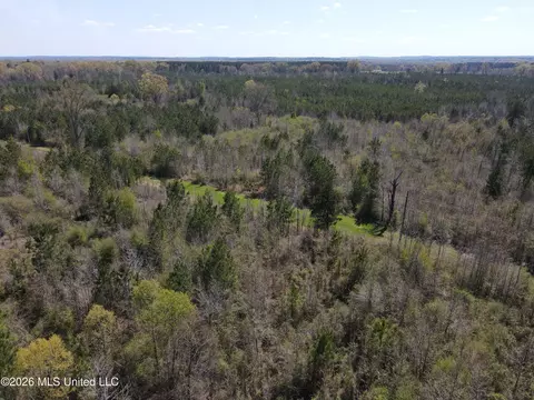 17565 Ms-27, Utica, MS 39175 photo 8