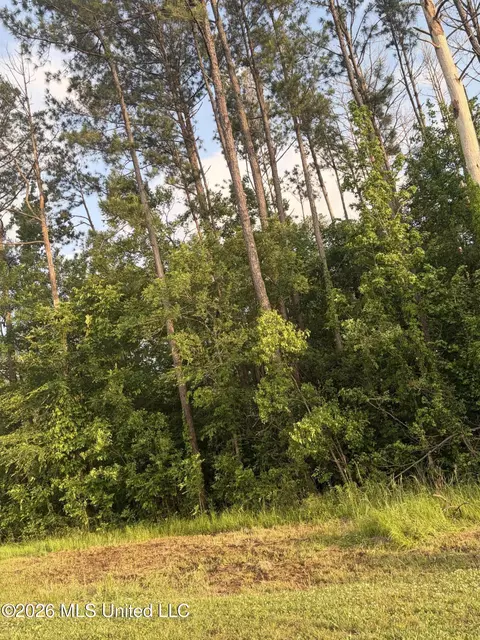 Airport Road, Flowood, MS 39232 photo 2