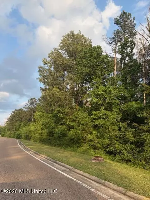 Airport Road, Flowood, MS 39232 photo 8
