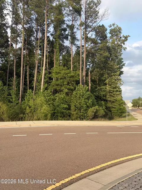 Airport Road, Flowood, MS 39232 photo 4