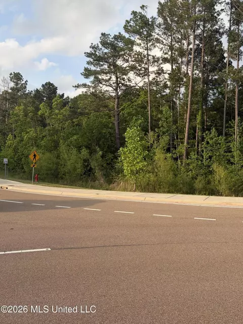 Airport Road, Flowood, MS 39232 photo 3