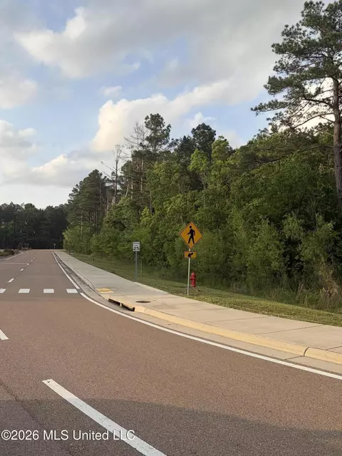 Airport Road, Flowood, MS 39232 photo 5