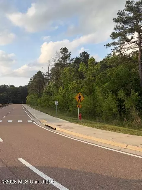 Airport Road, Flowood, MS 39232 photo 7