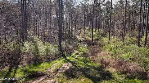 0 N Putnam Rd, Pickens, MS 39146 photo 9