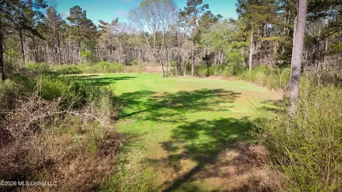 0 N Putnam Rd, Pickens, MS 39146 photo 12