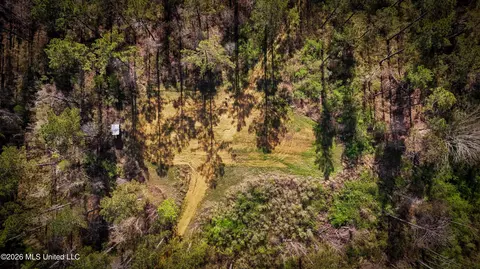 0 N Putnam Rd, Pickens, MS 39146 photo 8