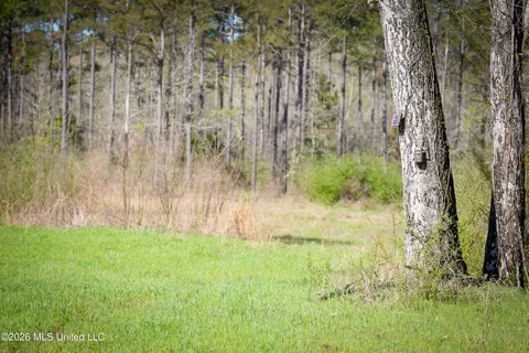 0 N Putnam Rd, Pickens, MS 39146 photo 4