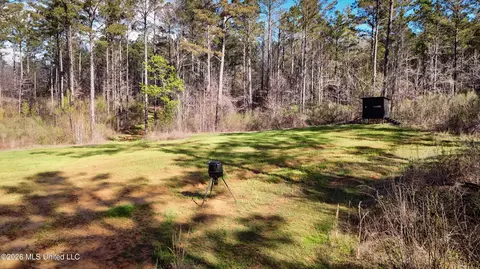 0 N Putnam Rd, Pickens, MS 39146 photo 10