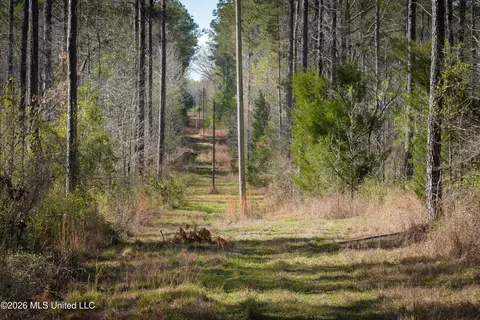 0 N Putnam Rd, Pickens, MS 39146 photo 3
