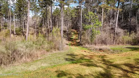 0 N Putnam Rd, Pickens, MS 39146 photo 11