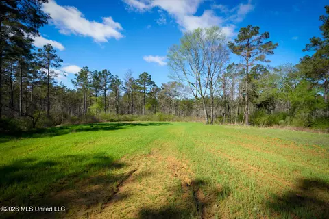 0 N Putnam Rd, Pickens, MS 39146 photo 6