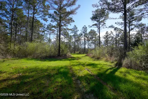 0 N Putnam Rd, Pickens, MS 39146 photo 5
