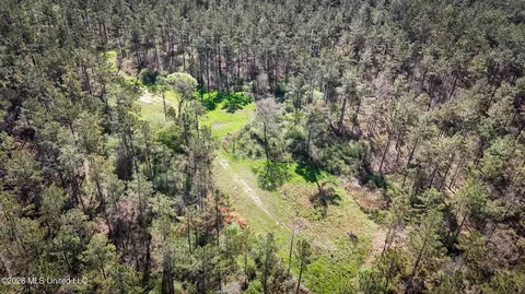 0 N Putnam Rd, Pickens, MS 39146 photo 13