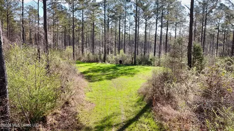 0 N Putnam Rd, Pickens, MS 39146