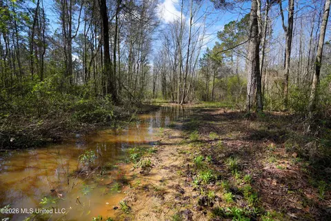 0 N Putnam Rd, Pickens, MS 39146 photo 7