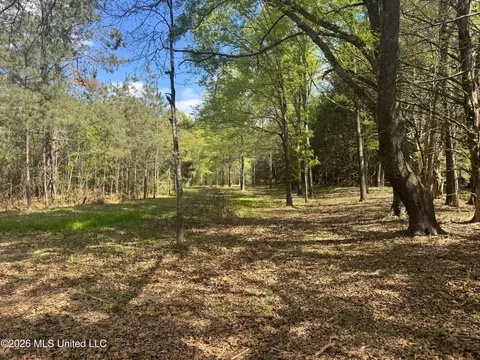 150 Central Blvd, Flora, MS 39071 photo 15