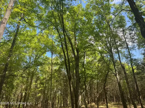 150 Central Blvd, Flora, MS 39071 photo 31