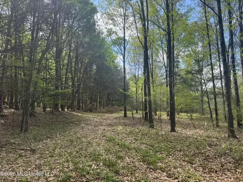 150 Central Blvd, Flora, MS 39071 photo 39