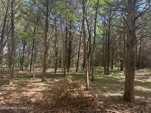 150 Central Blvd, Flora, MS 39071 photo 38