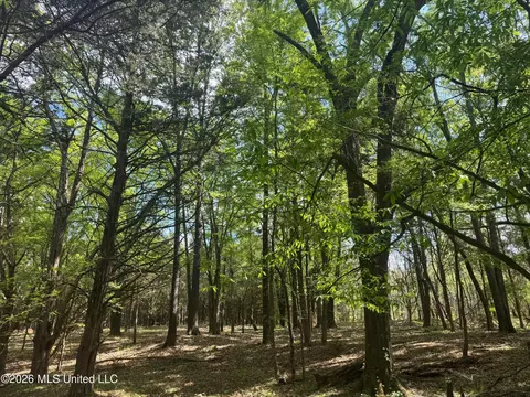 150 Central Blvd, Flora, MS 39071 photo 23