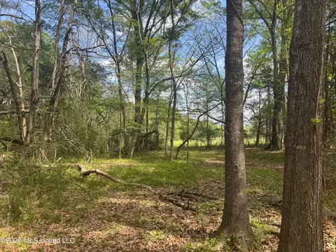 150 Central Blvd, Flora, MS 39071 photo 40