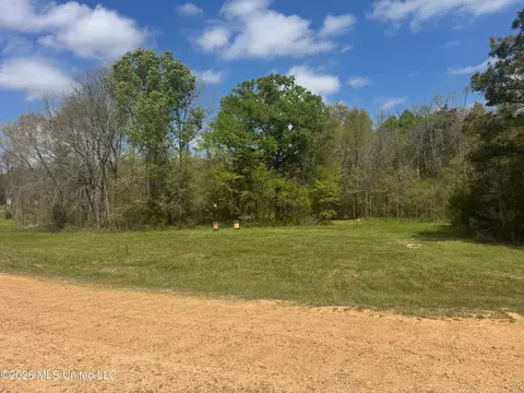 150 Central Blvd, Flora, MS 39071 photo 11
