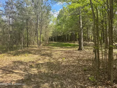 150 Central Blvd, Flora, MS 39071 photo 14