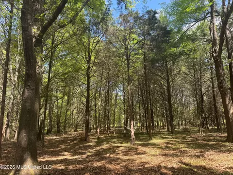 150 Central Blvd, Flora, MS 39071 photo 36